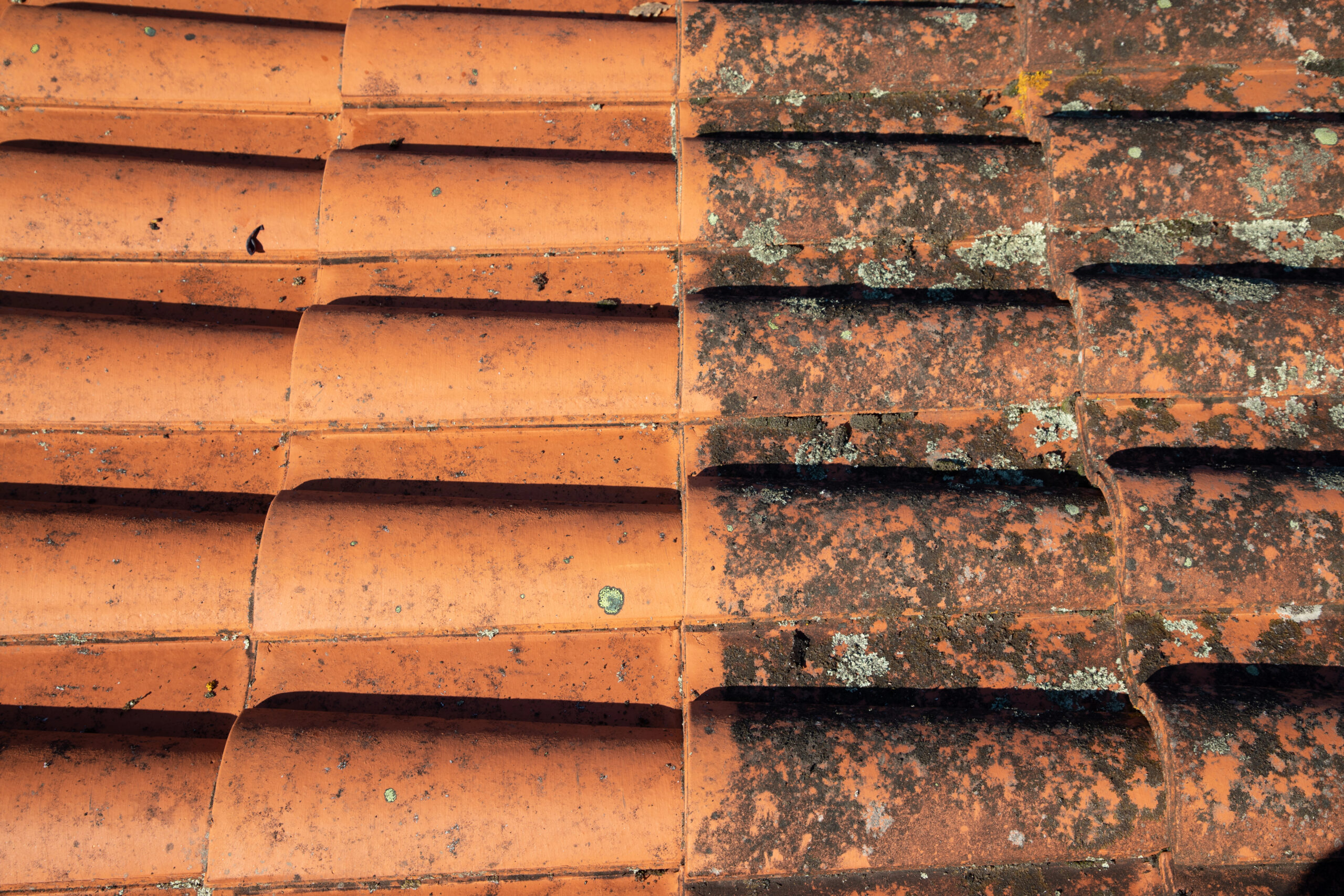 Roof Cleaning