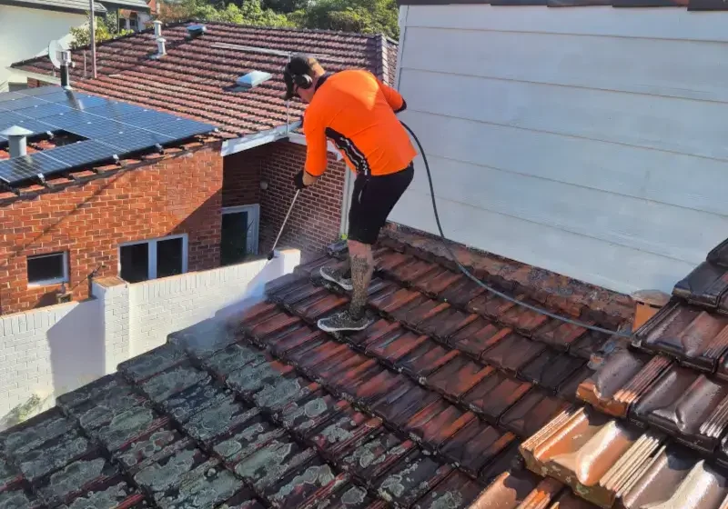 wspw-time-pressure-wash-roof-perth
